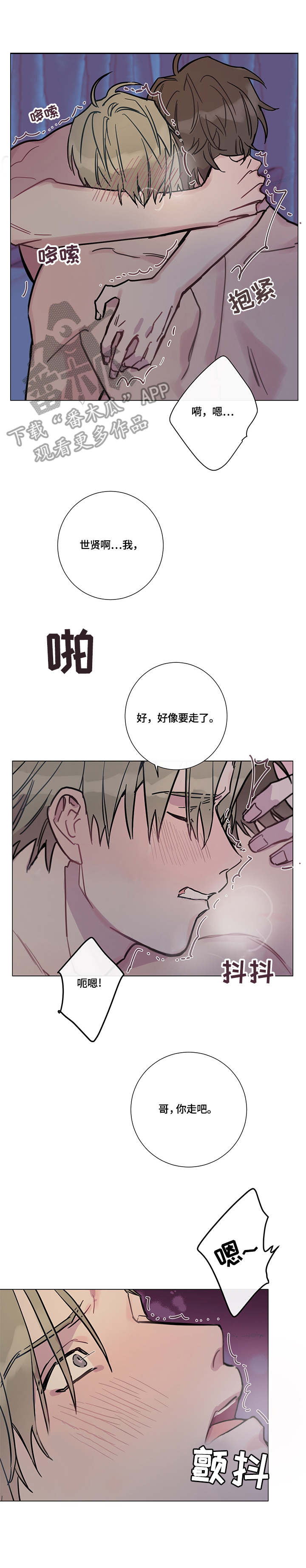 第8话：第8章：爱意（完结）预览分镜