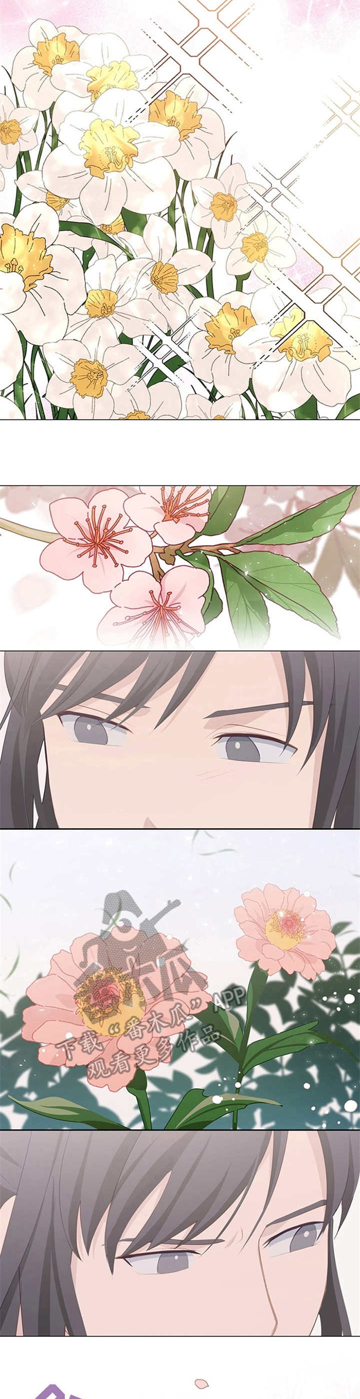 第16话：第16章：花繁叶茂预览分镜