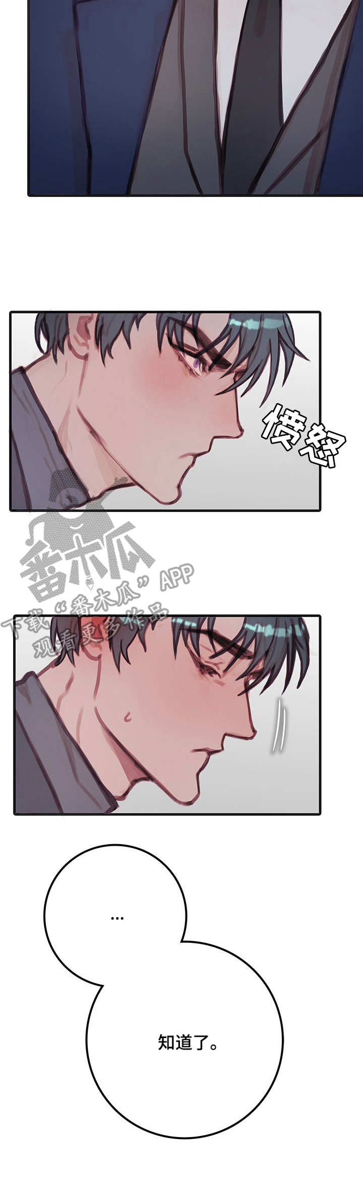 第12话：第12章：宠物预览分镜