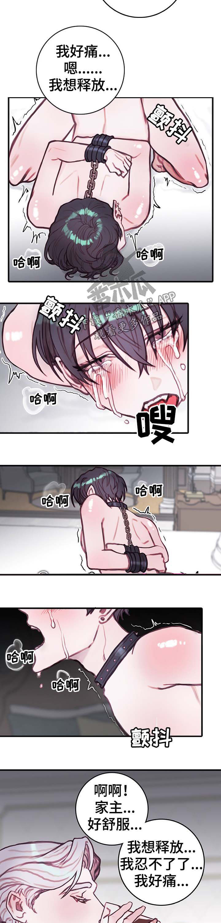 第16话：第16章：勾引预览分镜