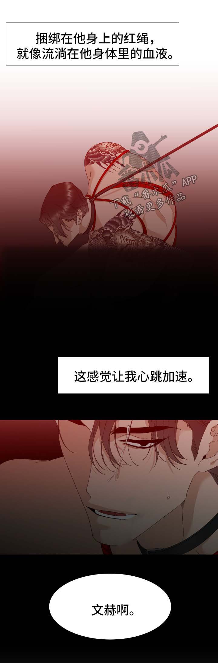 第12话：第12章：梦预览分镜