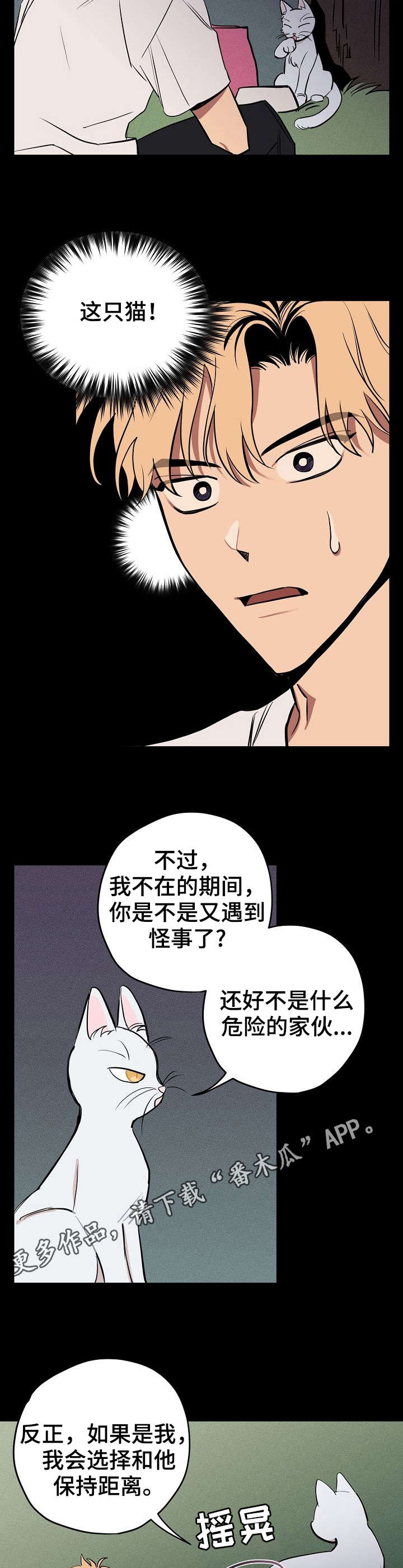 第10话：第10章：说话的猫预览分镜