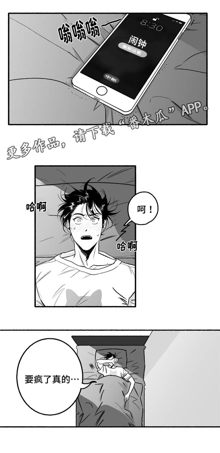 第12话：第12章：瞎折腾预览分镜