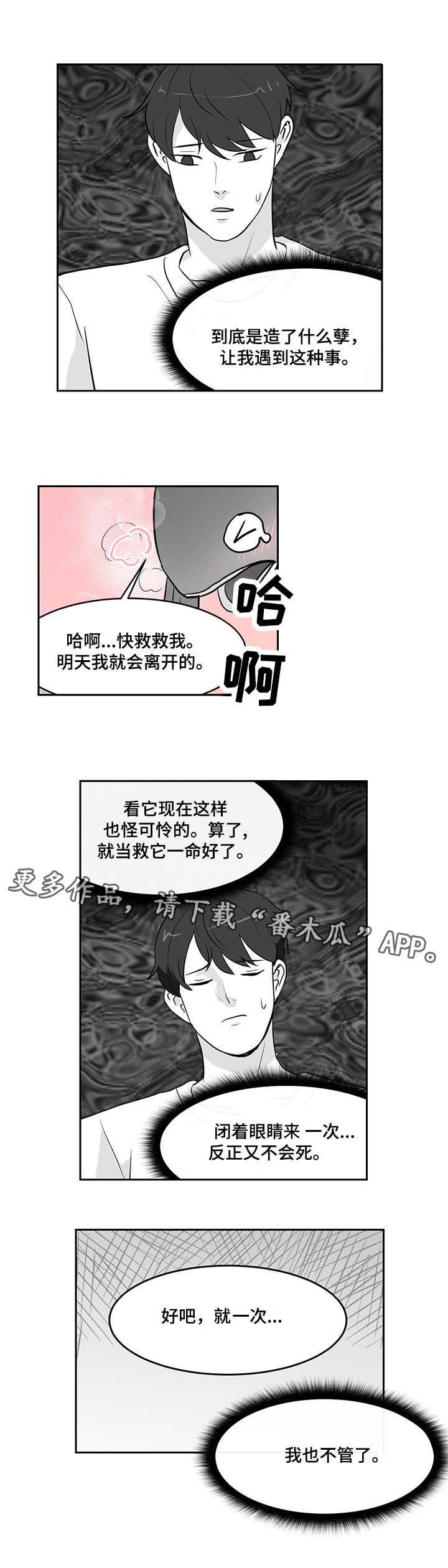 第15话：第15章：心软预览分镜