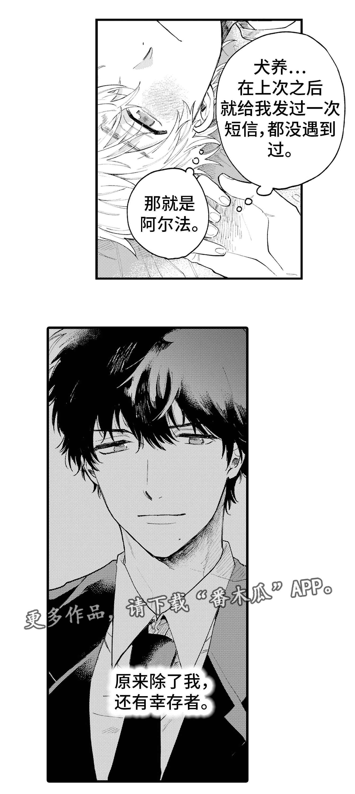 第6话：第6章：影响预览分镜