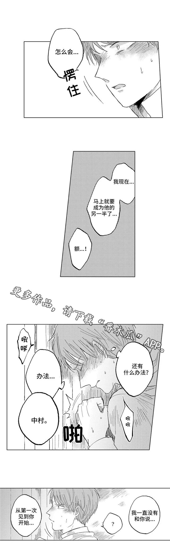第24章:斗争