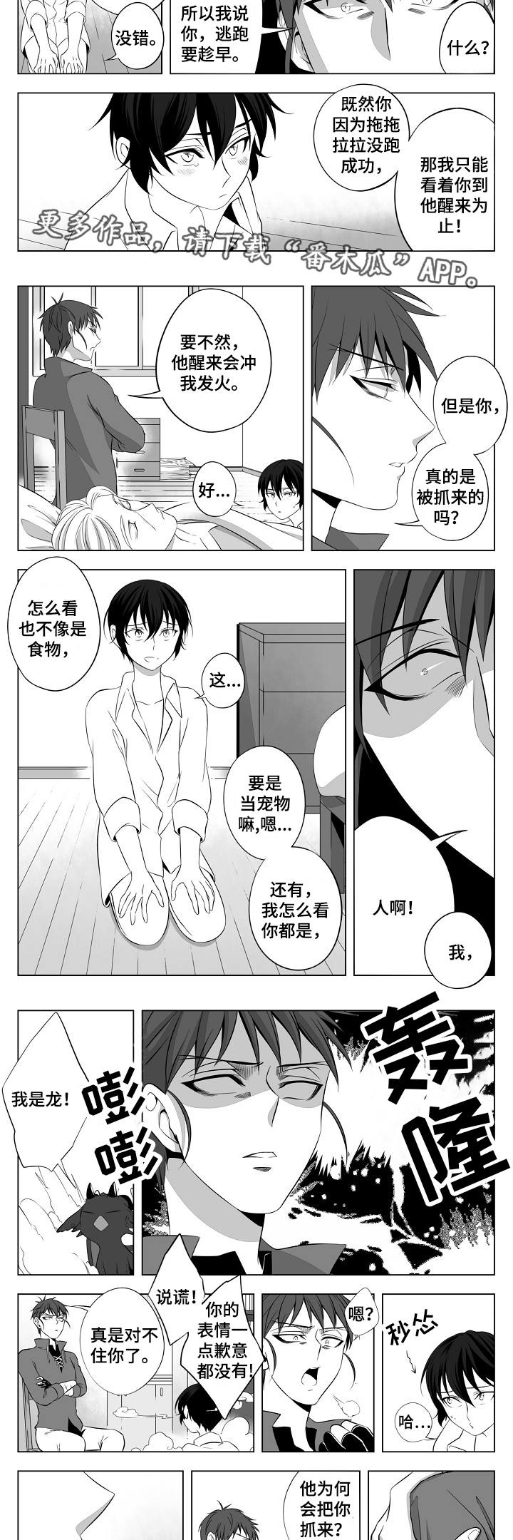 第4话：第4章：一见钟情预览分镜