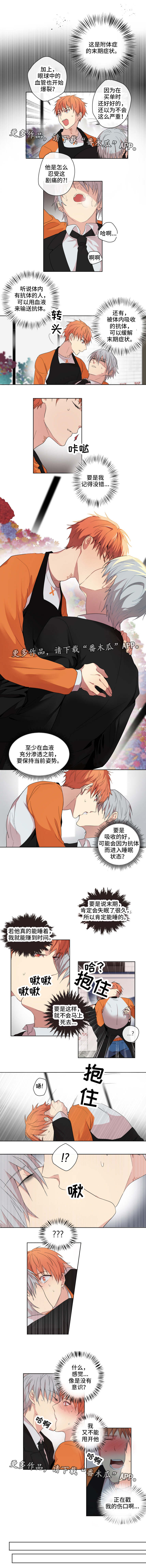 第3话：第3章：抗体预览分镜