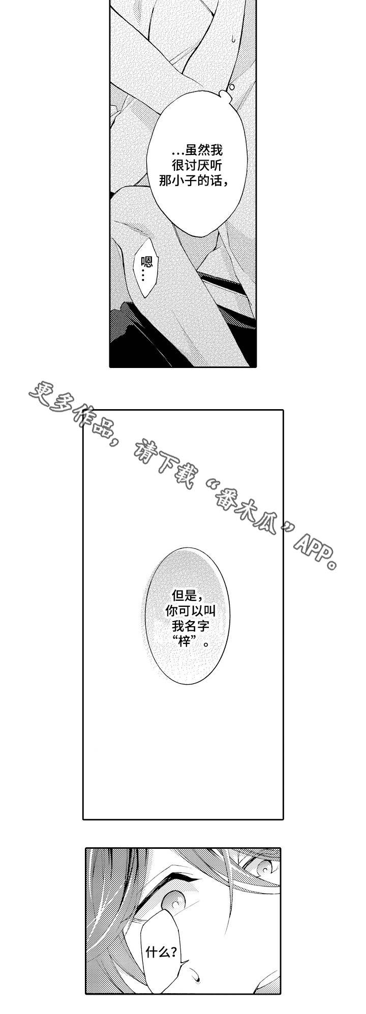 第40章:未来之路(完结)