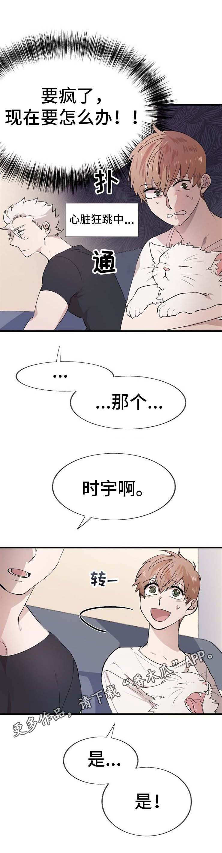 第12话：第12章：过夜预览分镜