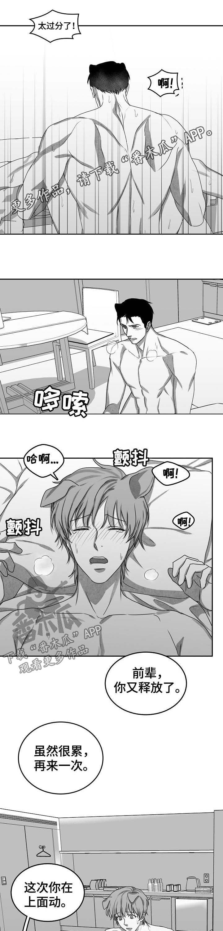 第44章:求婚(完结)