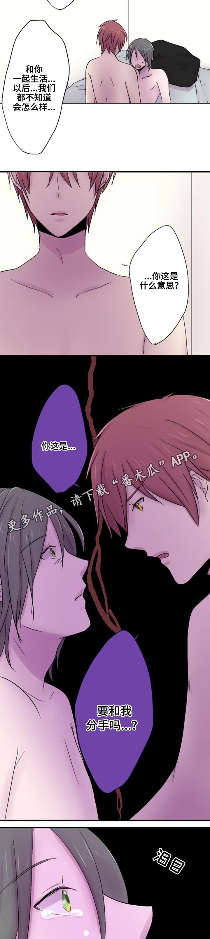 第42章:缘由