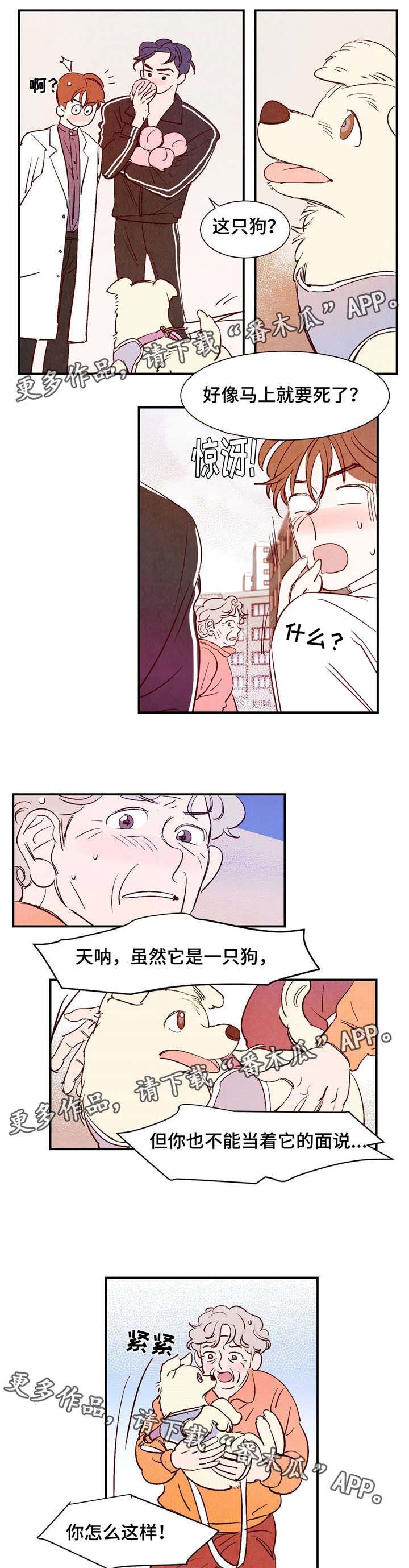第9话：第9章：遇见你之后预览分镜