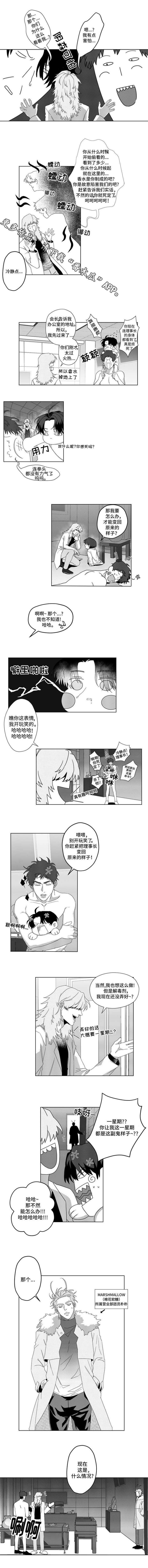 第5话：第5章：怪才发明家预览分镜