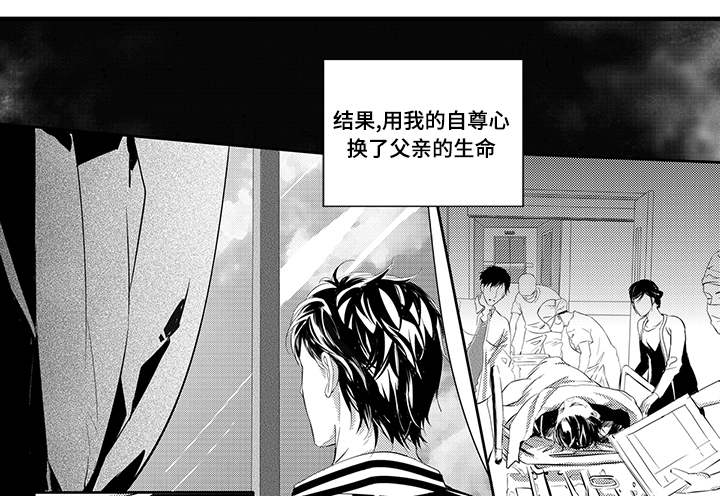 第8章:宠物