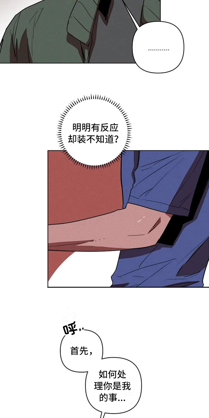第5话：提议预览分镜