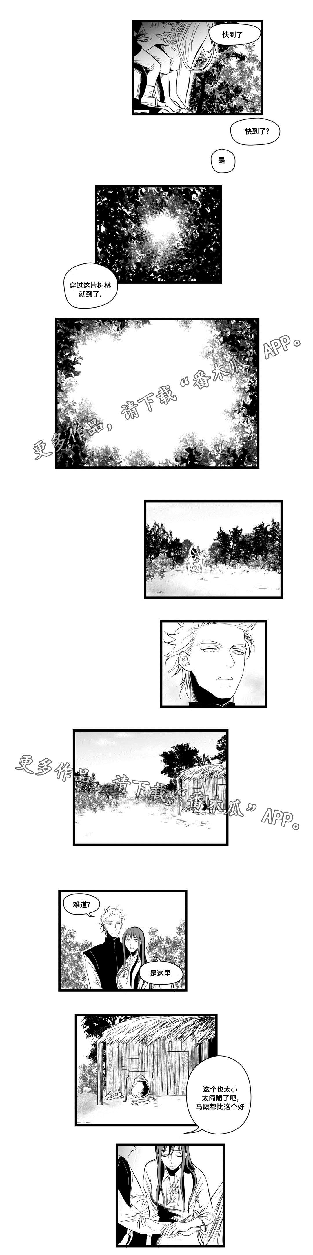 第6章:危险