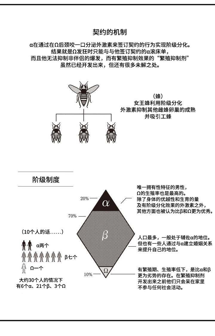 第1话：第1章：结婚预览分镜
