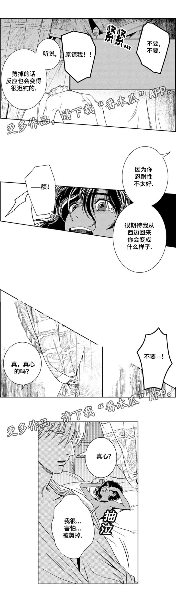 第8话：第8章：义务预览分镜