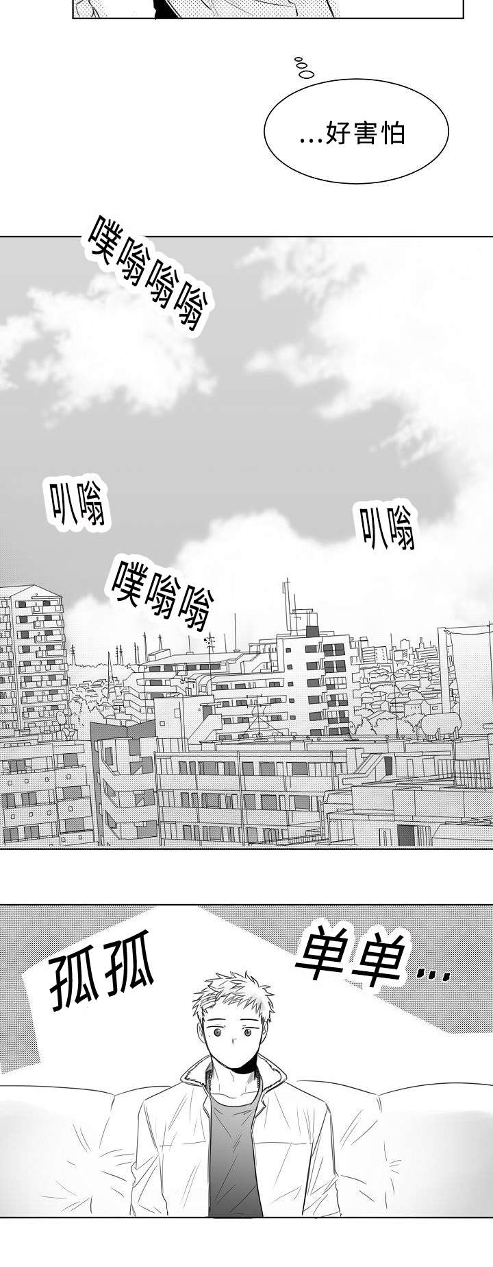 第7话：第7章：报告书预览分镜