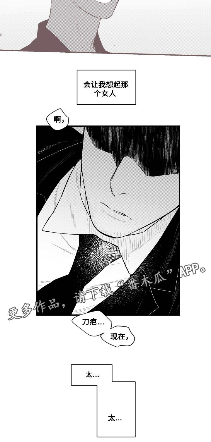 第16话：第16章：看望预览分镜