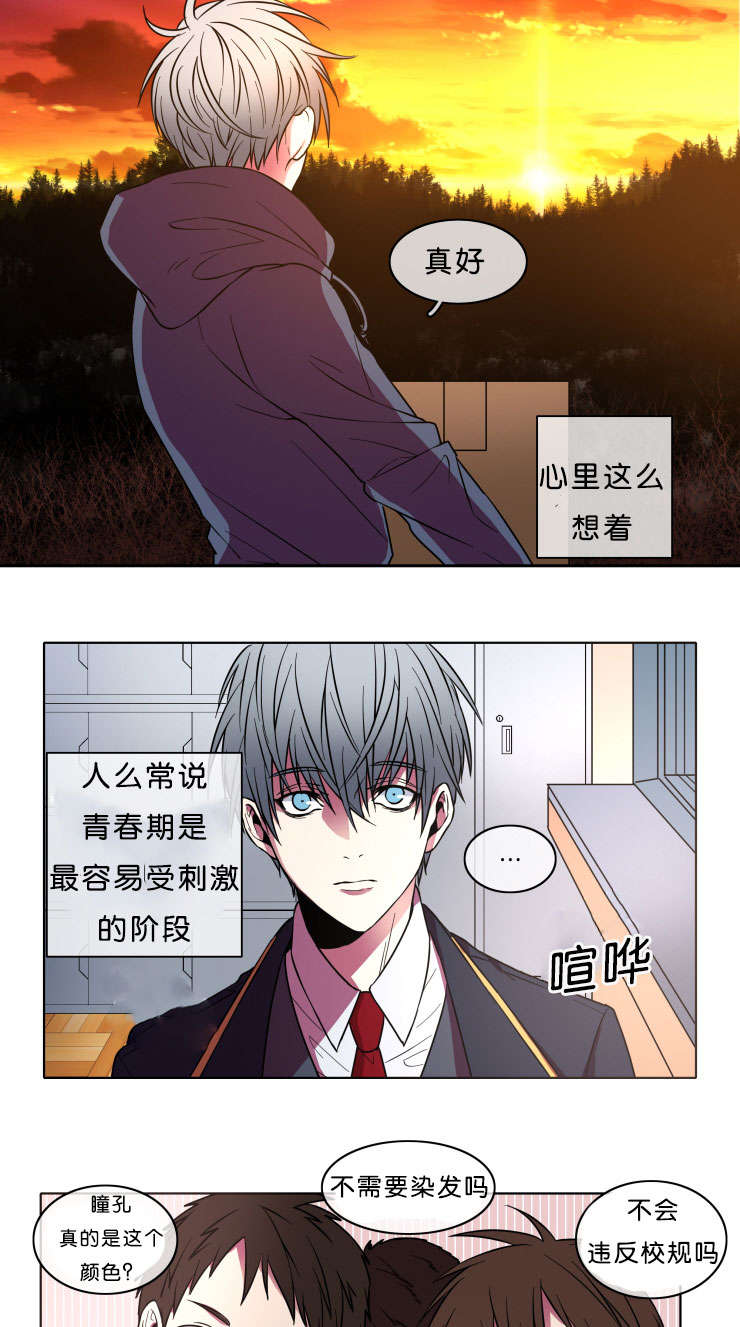 第7话：第7章：本意预览分镜