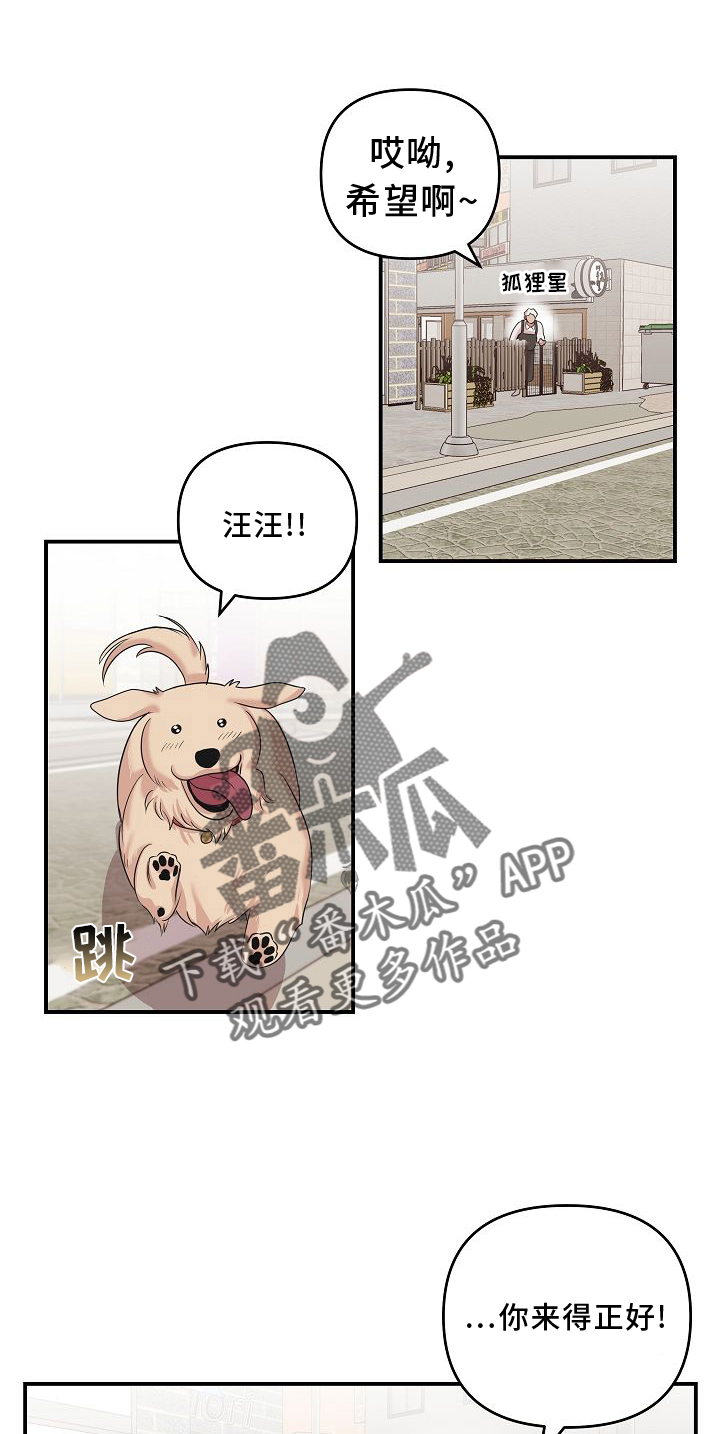 第16话：相似预览分镜
