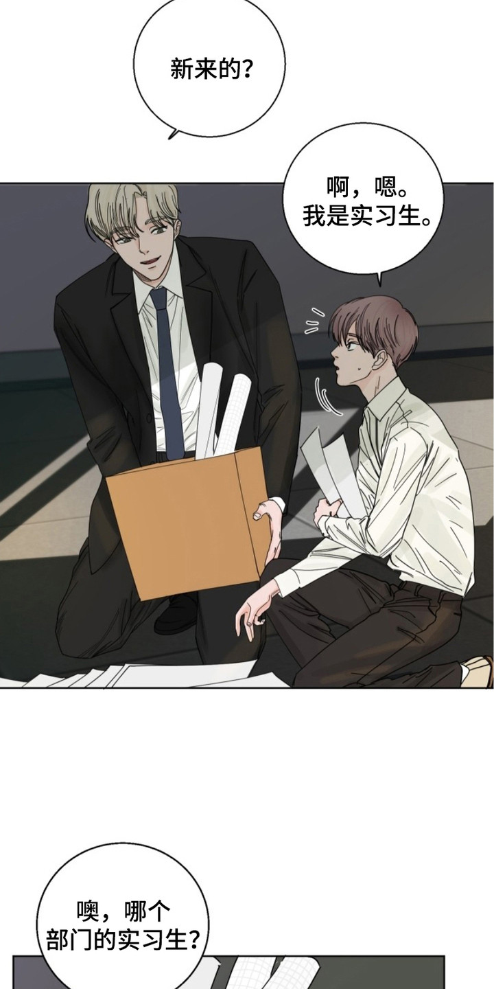 第5话：第5章：跑腿预览分镜