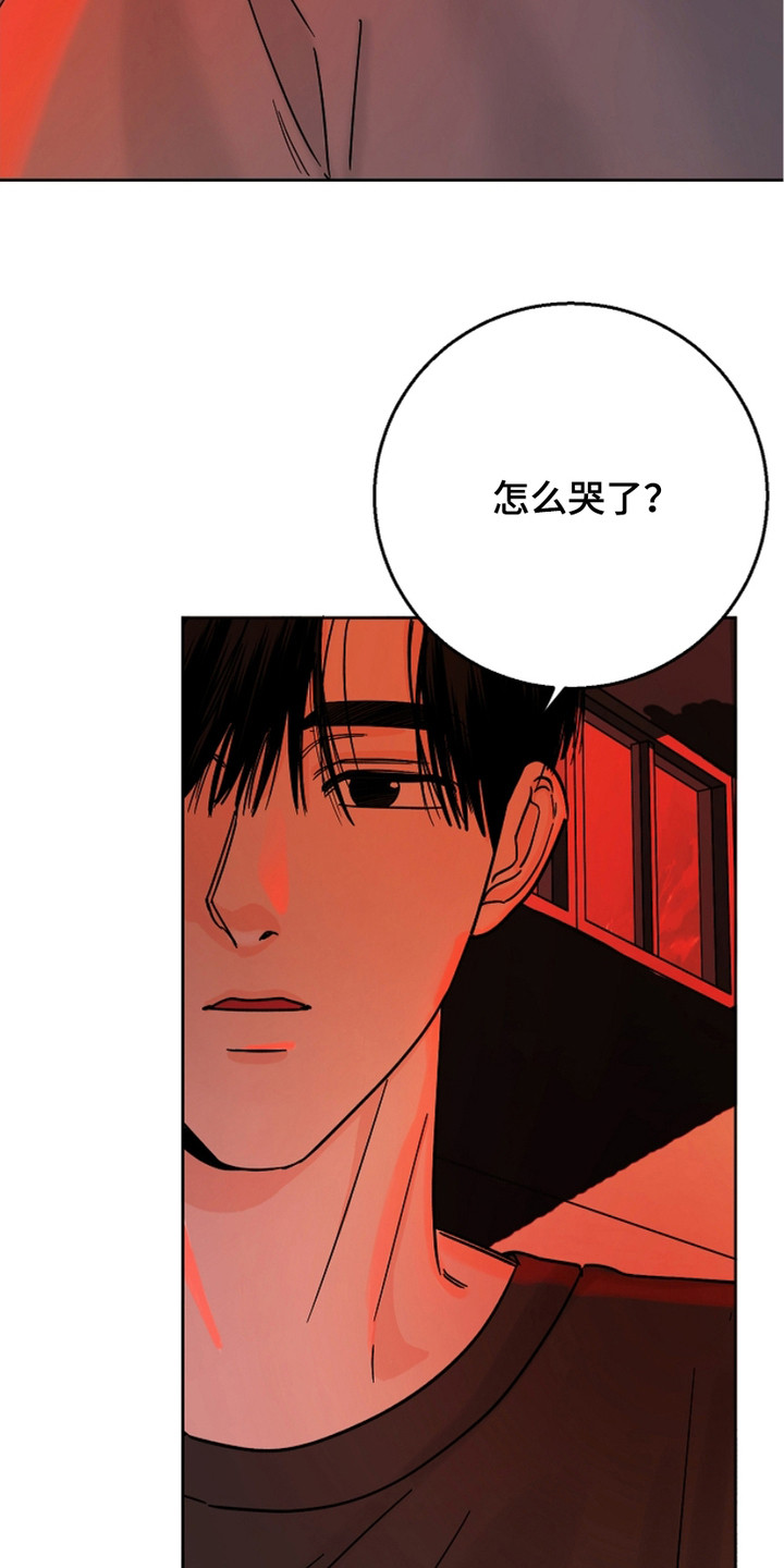 第18话：第18章：关心预览分镜
