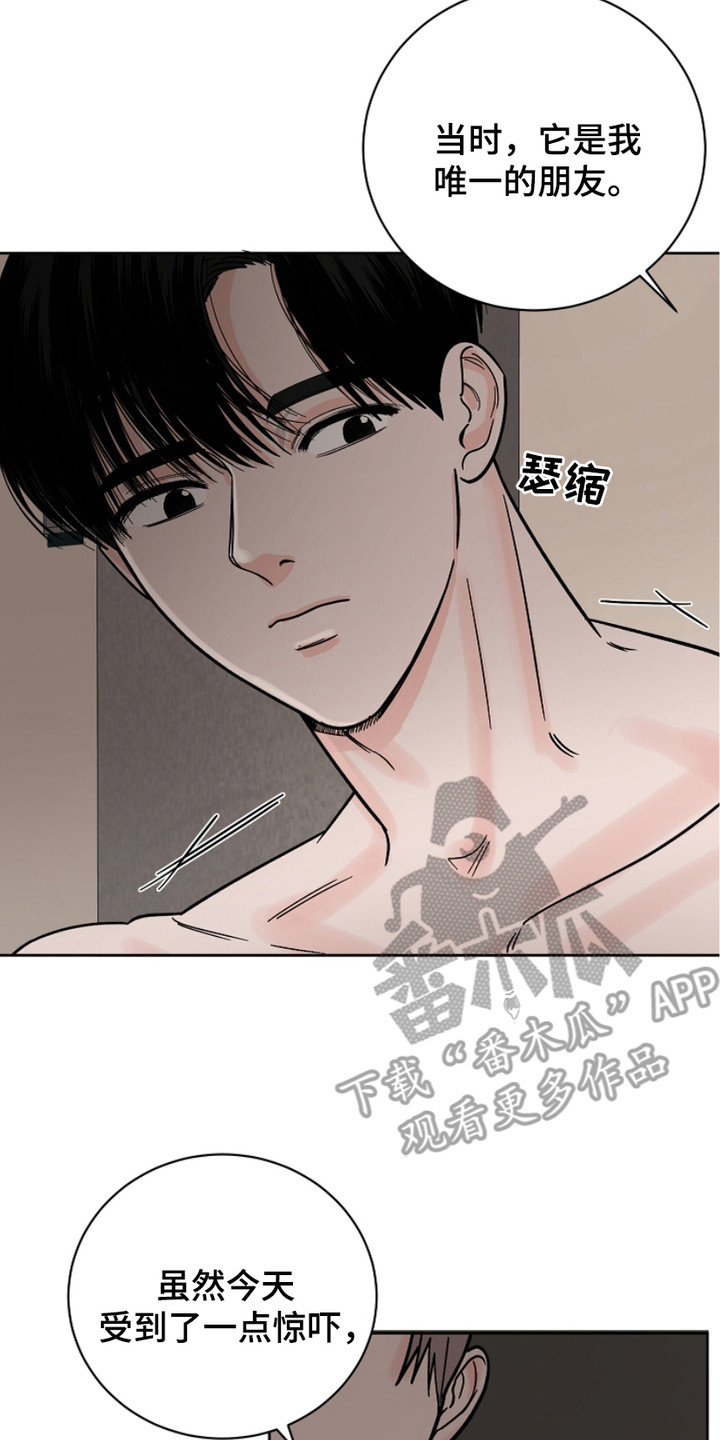 第29章:继续靠近