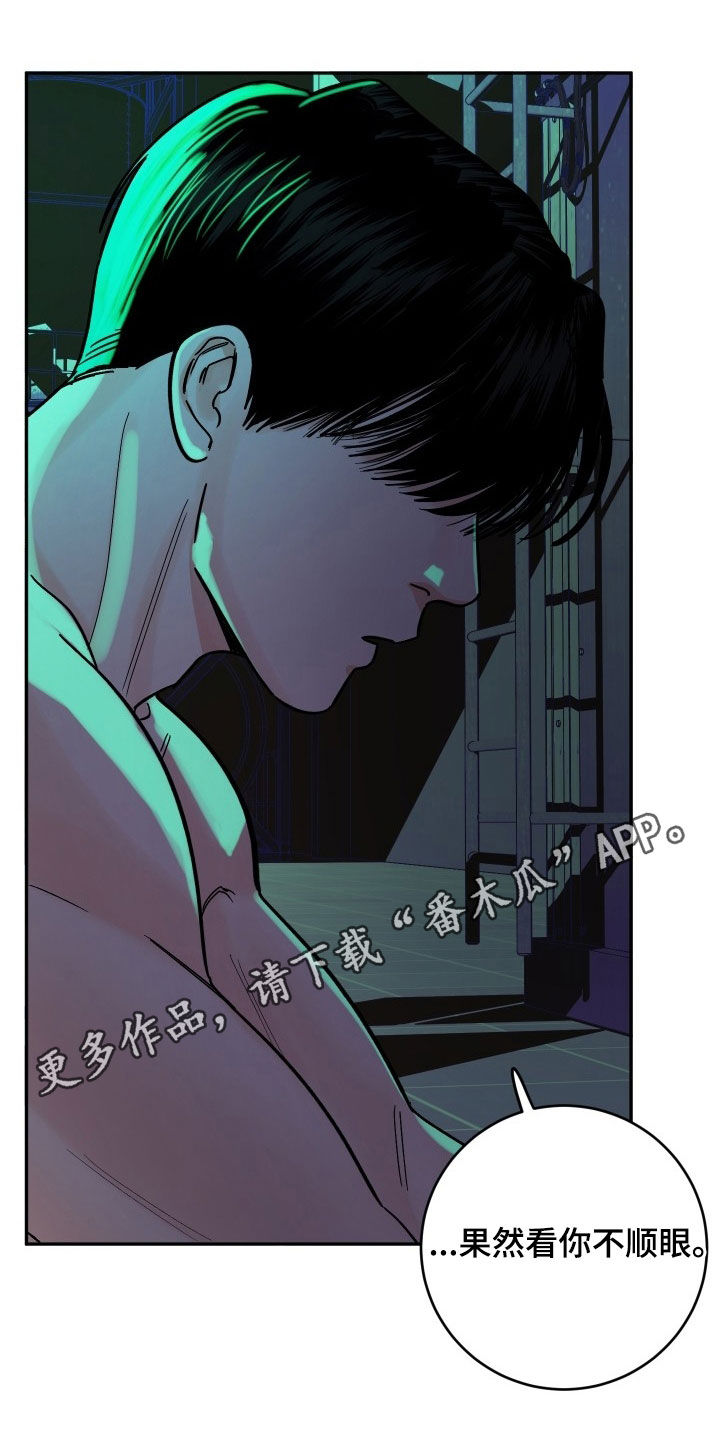 第37章:因为我害怕