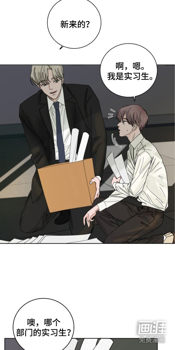 第5话：第5章：跑腿预览分镜