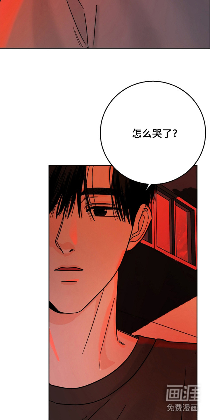 第18话：第18章：关心预览分镜