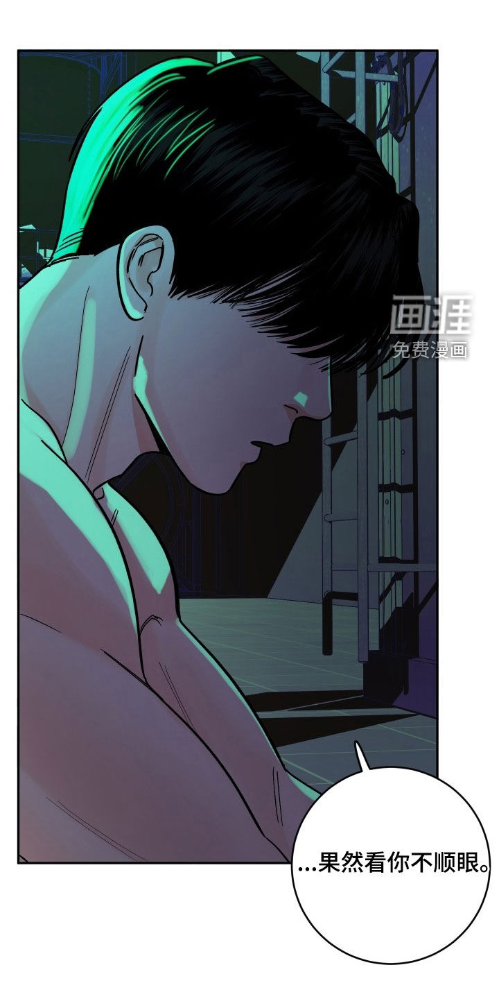 第37章:因为我害怕