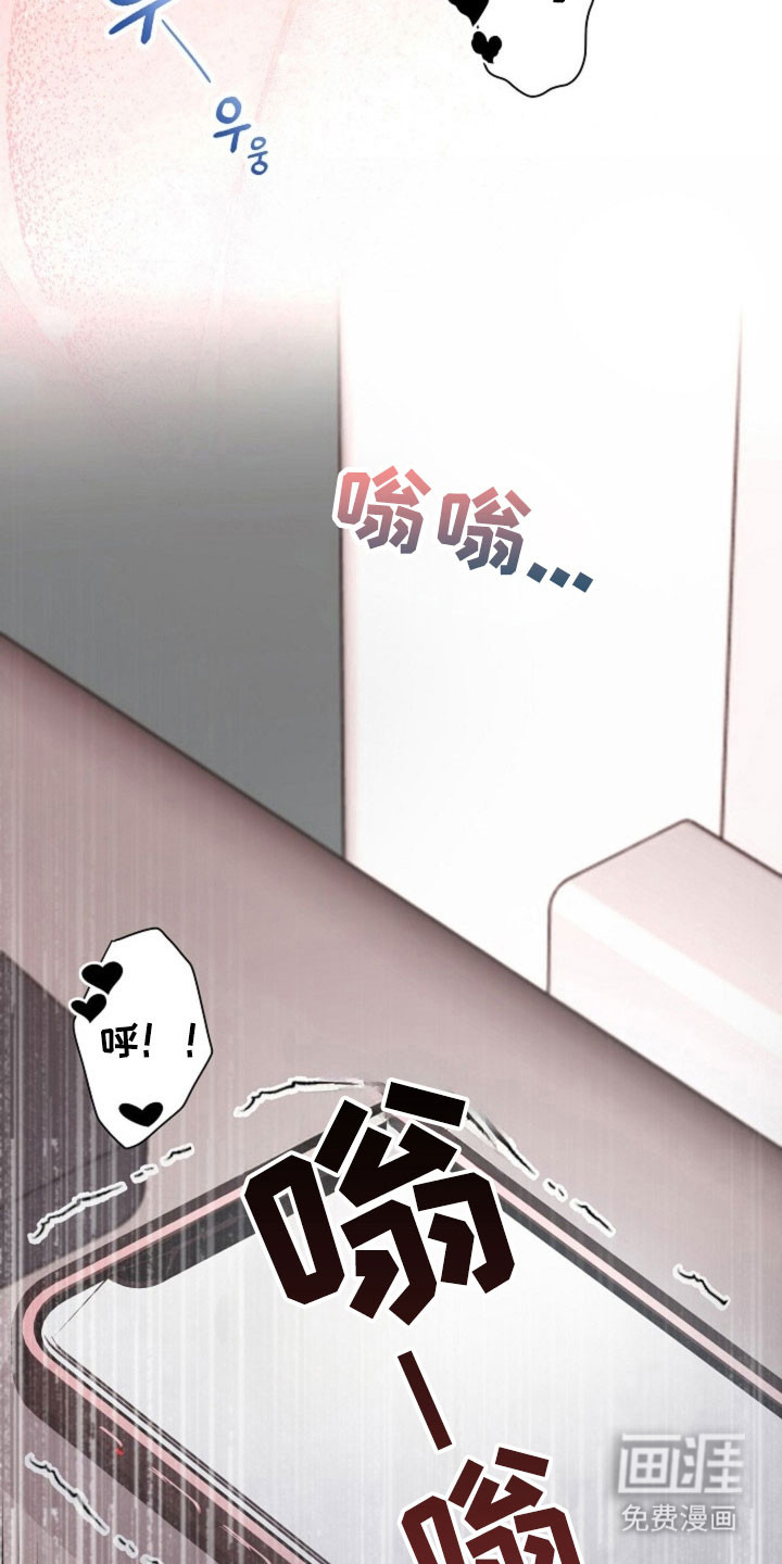 第41章:因为我吗