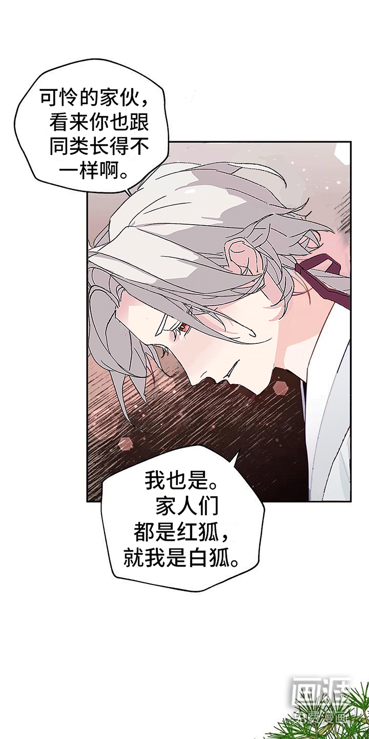 第4话：第4章：老虎预览分镜