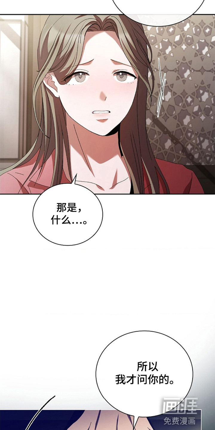 第9话：第9章：他想做什么预览分镜