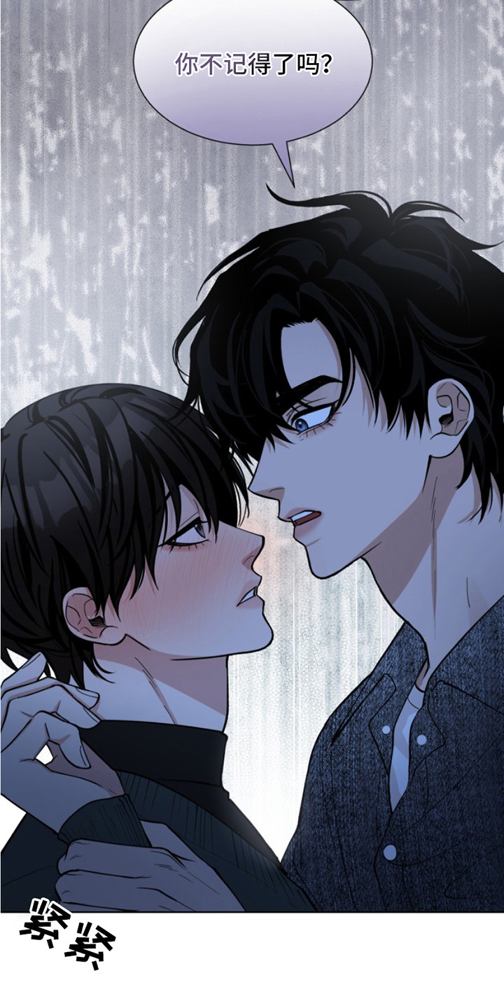 第11话：第11章：要求预览分镜