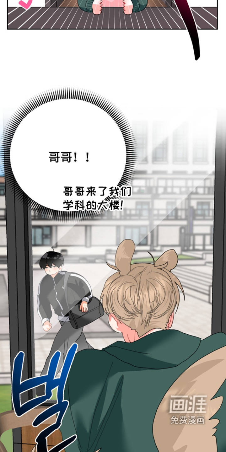 第14话：第14章：为什么骗我预览分镜