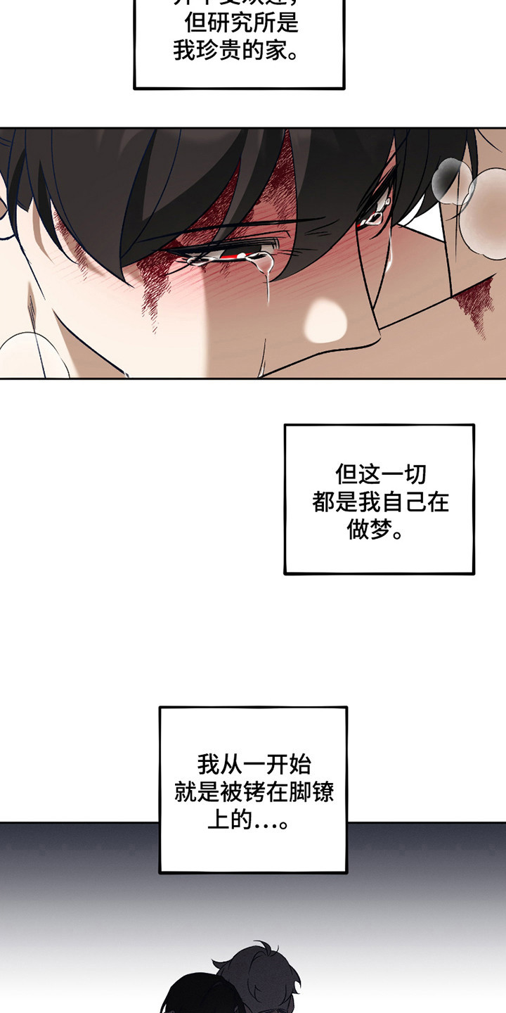 第12话：第12章：恋人（完结）预览分镜