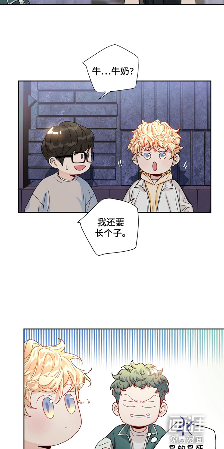 第12章:无法理解