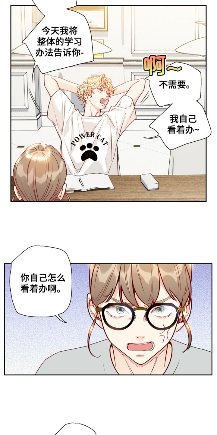 第22章:教我学习吧