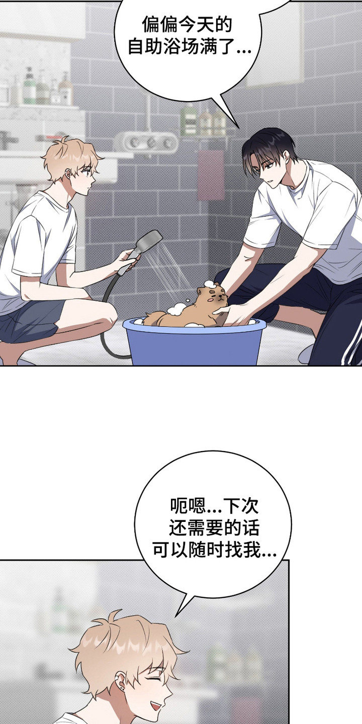 第4话：第4章：死缠烂打预览分镜