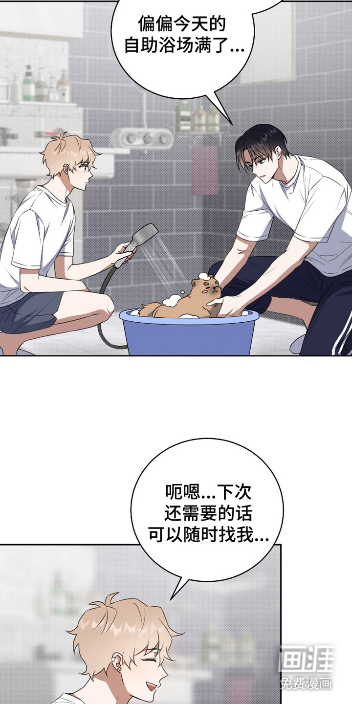 第4话：第4章：死缠烂打预览分镜