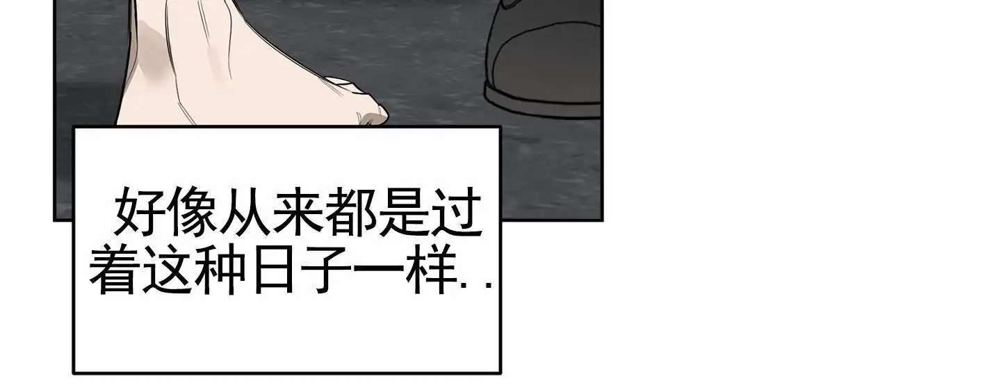 打扫(完结)