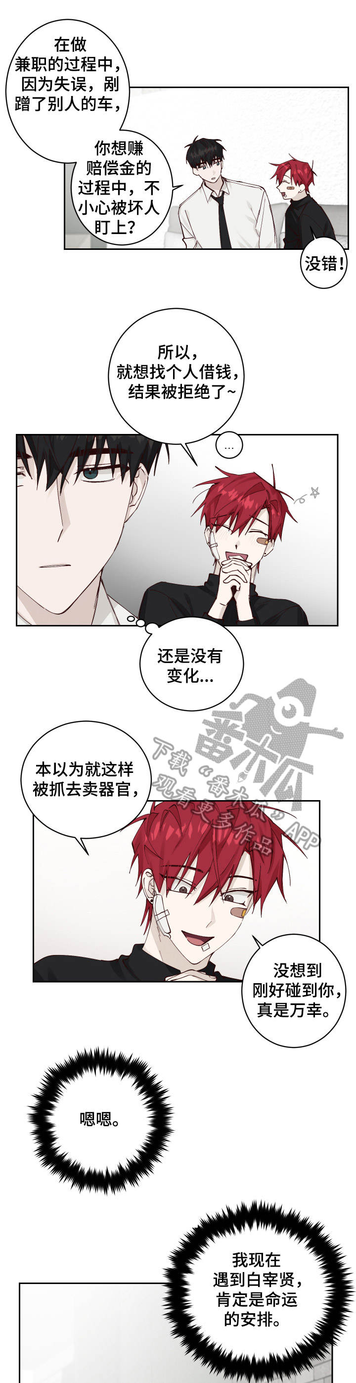 第4话：第4章：收留预览分镜