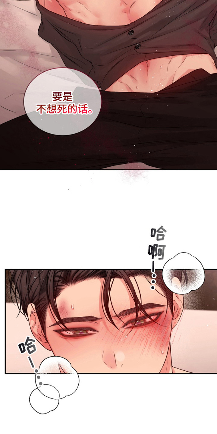 第14话：第14章：般配（完结）预览分镜