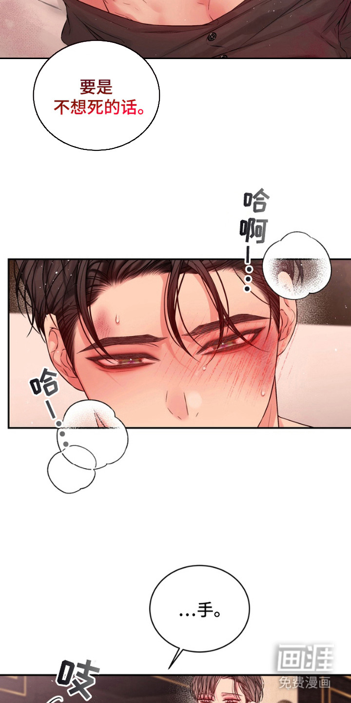 第12话：第12章：般配（完结）预览分镜