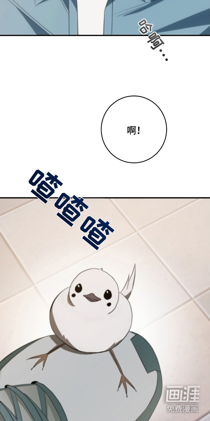 第12话：第12章：自责预览分镜