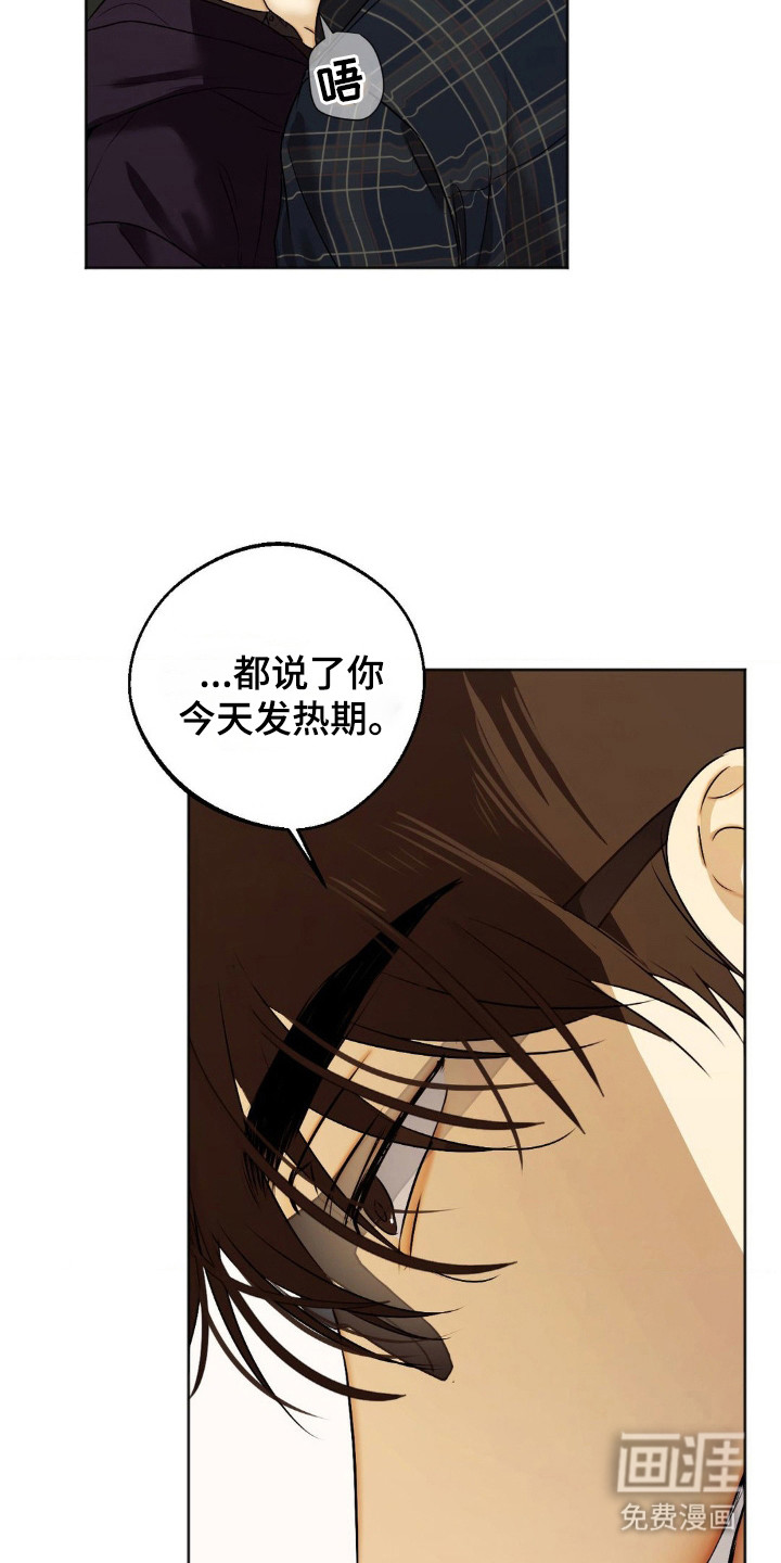 第7话：第7章：按规矩来预览分镜